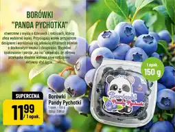Polomarket Borówki Pandy Pychotki oferta