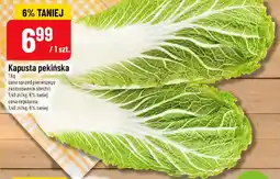 Polomarket Kapusta pekińska oferta