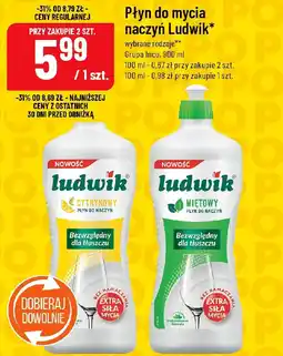 Polomarket Płyn do mycia naczyń Ludwik Grupa Inco oferta