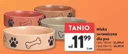 Intermarche Miska ceramiczna oferta