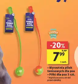 Intermarche Wyrzutnia do piłek oferta