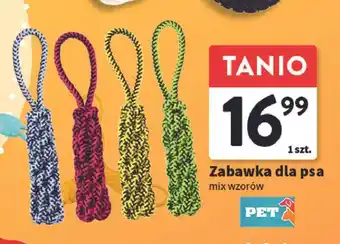 Intermarche Zabawka dla psa oferta
