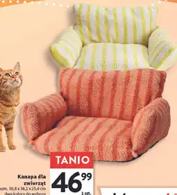 Intermarche Kanapa dla zwierząt oferta