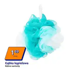 Action Gąbka kąpielowa oferta