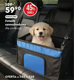 Biedronka PUPILPLANET Fotelik samochodowy dla zwierząt oferta