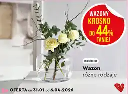 Biedronka Krosno wazon oferta