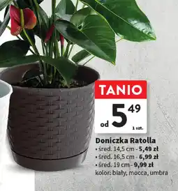 Intermarche Doniczka Ratolla oferta