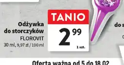 Intermarche Odżywka do storczyków Florovit oferta