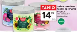 Intermarche Bolsius świeca zapachowa oferta