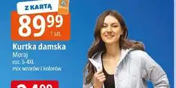 E.Leclerc Moraj Kurtka damska oferta