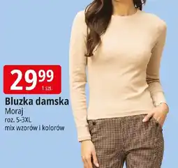 E.Leclerc Moraj Bluzka damska oferta