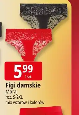 E.Leclerc Moraj Figi damskie oferta