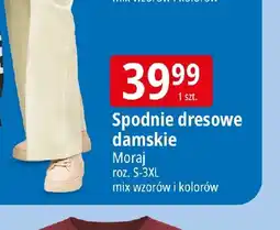 E.Leclerc Moraj Spodnie dresowe damskie oferta
