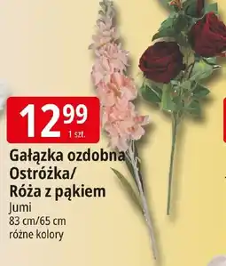 E.Leclerc Jumi Gałązka ozdobna Ostróżka/Róża z pąkiem oferta