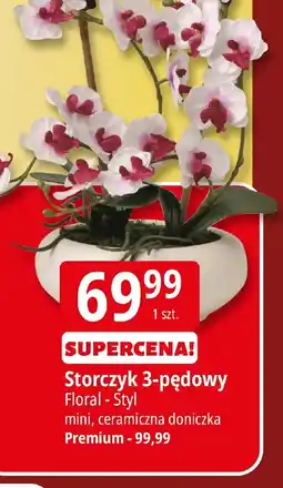 E.Leclerc Storczyk 3-pędowy oferta