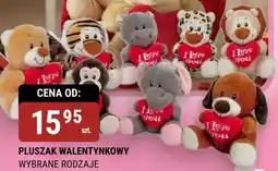 bi1 Pluszak walentynkowy oferta