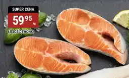 bi1 Łosoś dzwonki oferta