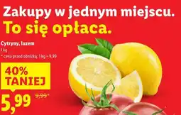 Lidl Cytryny, luzem oferta