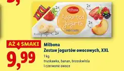 Lidl Milbona Zestaw jogurtów owocowych, XXL oferta