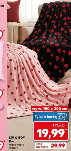 Kaufland LIV & BOO Koc oferta