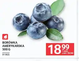 Selgros Borówka Amerykańska oferta