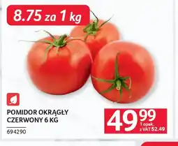Selgros Pomidor okrągły oferta