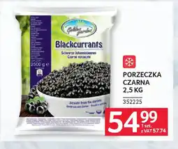 Selgros Golden Garden Porzeczka Czarna oferta