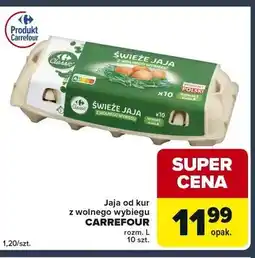 Globi Jaja od kur z wolnego wybiegu rozm. L oferta