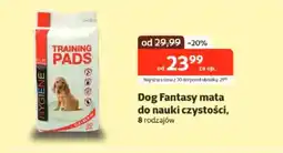 Kakadu Dog Fantasy mata do nauki czystości oferta