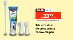 Kakadu Trixie zestaw do czyszczenia zębów dla psa oferta