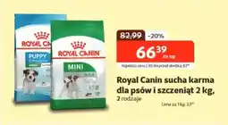 Kakadu Royal Canin sucha karma dla psów i szczeniąt oferta