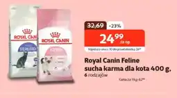 Kakadu Royal Canin Feline sucha karma dla kota oferta
