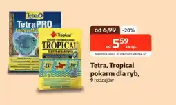Kakadu Tetra Tropical pokarm dla ryb oferta