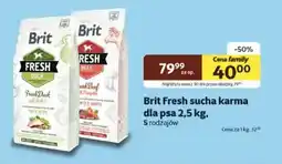 Kakadu Brit Fresh sucha karma dla psa oferta