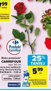 Carrefour Róża premium CARREFOUR 1 szt oferta
