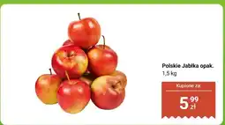 Biedronka Pietruszka biała korzeń luz oferta