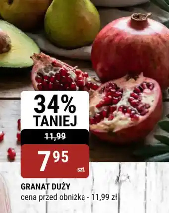 bi1 Granat duży oferta