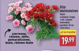 ALDI Róże wielokwiatowe Bukiet (4 łodygi, min. 5 pąków, 50 cm) oferta