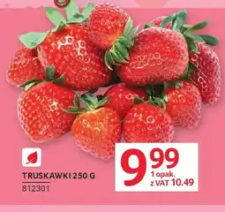 Selgros Truskawki oferta