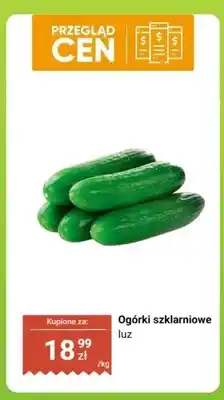 Biedronka Ogórki szklarniowe luz oferta
