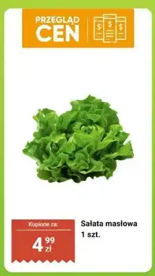 Biedronka Sałata masłowa oferta