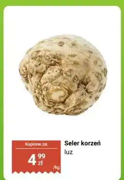 Biedronka Seler korzeń luz oferta