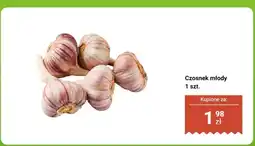 Biedronka Czosnek młody oferta