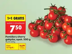 Biedronka Pomidory cherry gałązka oferta