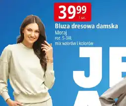E.Leclerc Moraj Bluza dresowa damska oferta