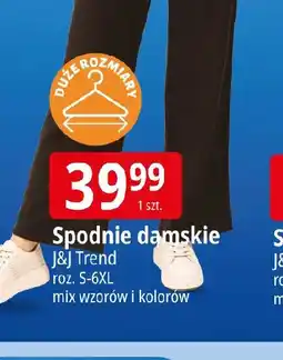 E.Leclerc JM Trend Spodnie damskie oferta