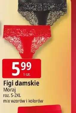E.Leclerc Moiraj Figi damskie oferta