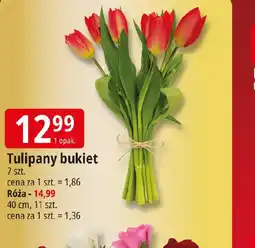 E.Leclerc Tulipany bukiet oferta