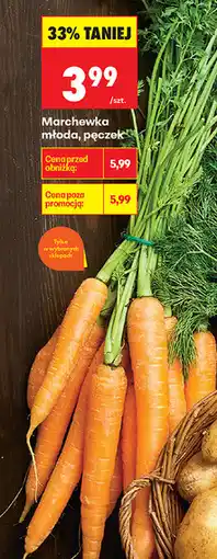 Biedronka Marchewka młoda, pęczek oferta
