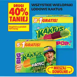 Biedronka Wielopaki lodowe Kaktus oferta